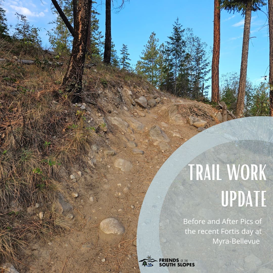 Featured image for “FortisBC & FOSS Trail Day”
