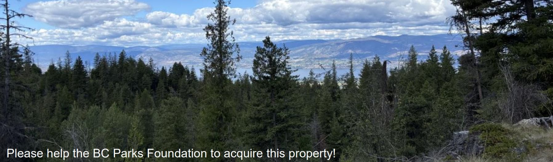 Featured image for “July 2026 Newsletter”