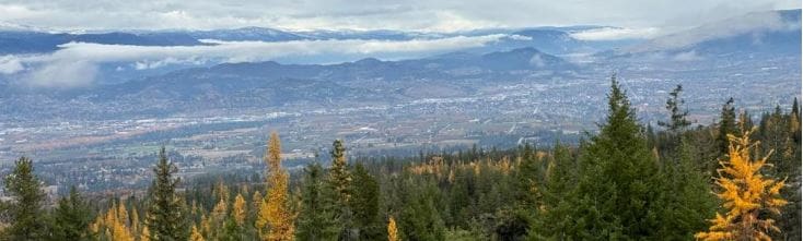 Featured image for “February 2026 Newsletter”